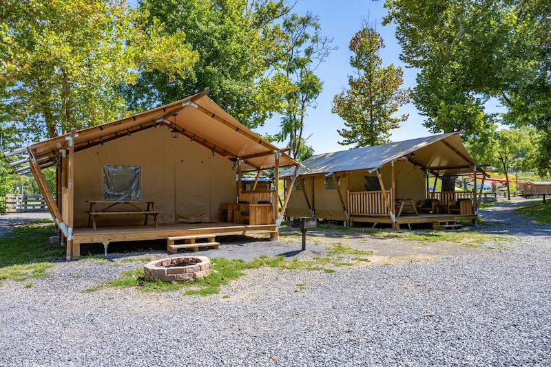 Safari Tent-11